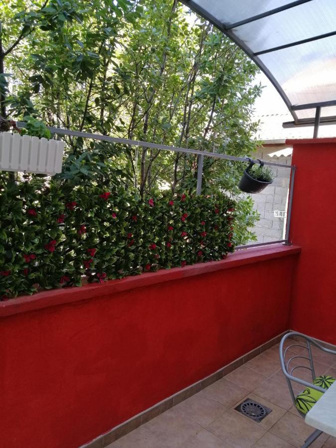 Apartment מוסטר מראה חיצוני תמונה